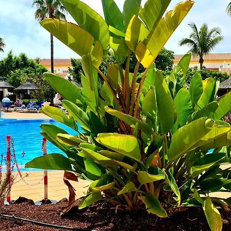 Sunningdale Village Golf Del Sur